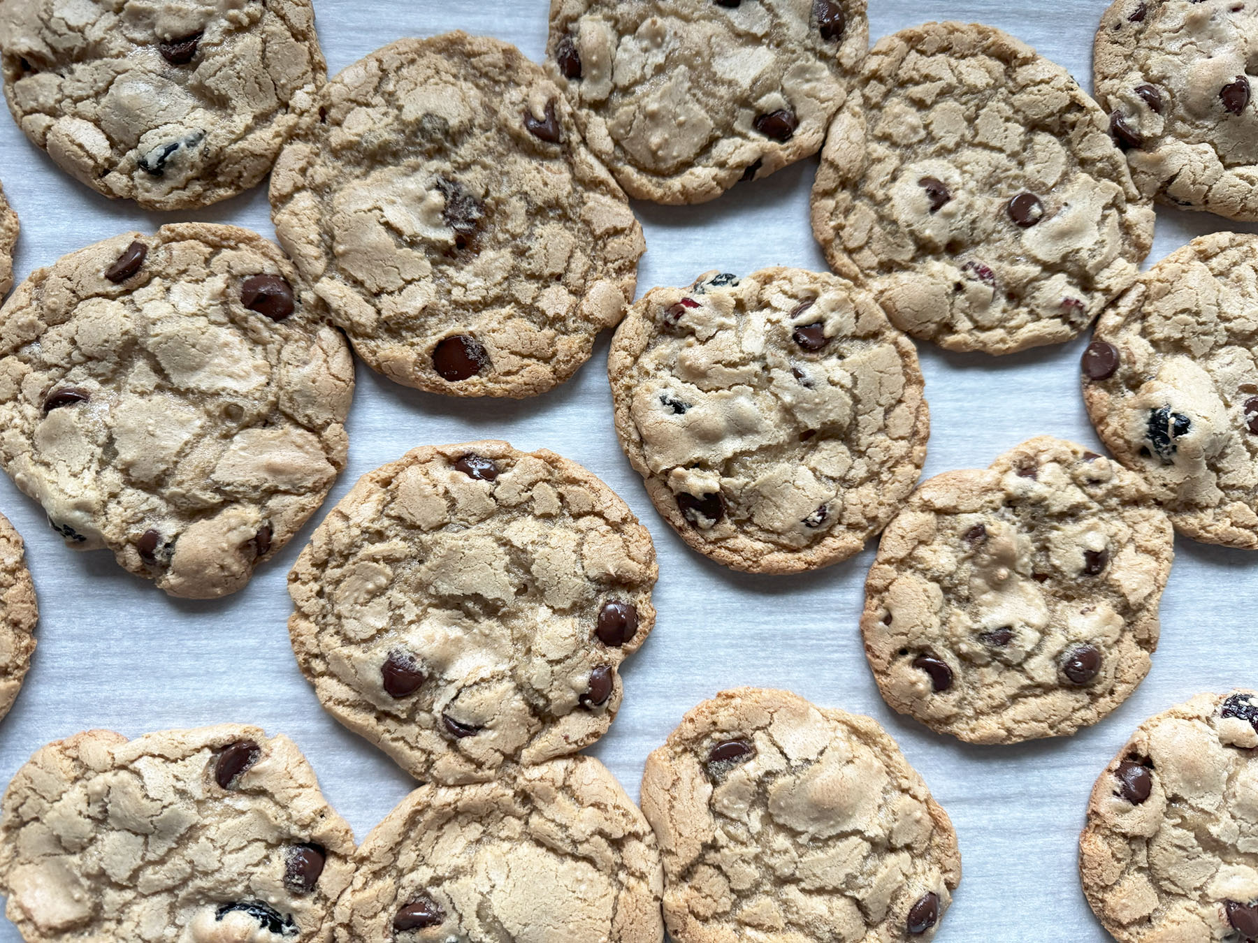 Cranberry Chocolate Chunk Cookies
