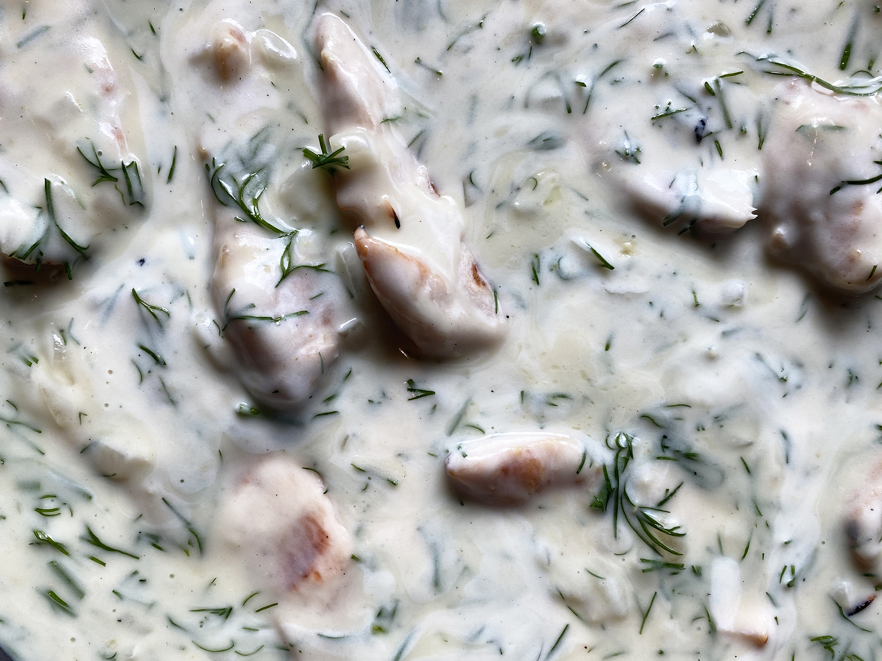 Creamed Chicken with Dill