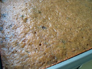 IMG_1346 - this 11 Spiced Prune Cake