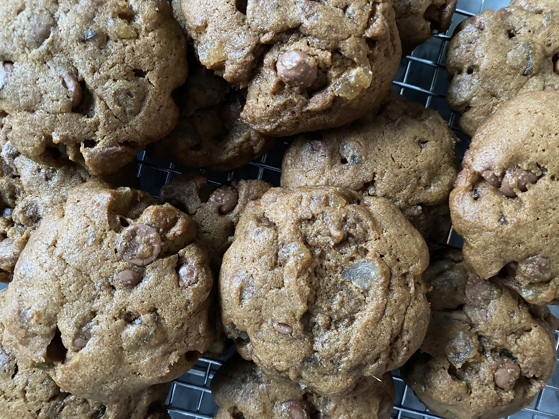 Gingerbread Chocolate Chip Cookies
