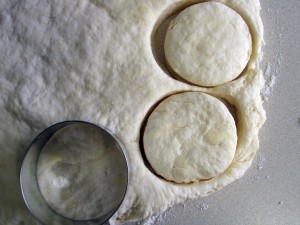 Southern Biscuits