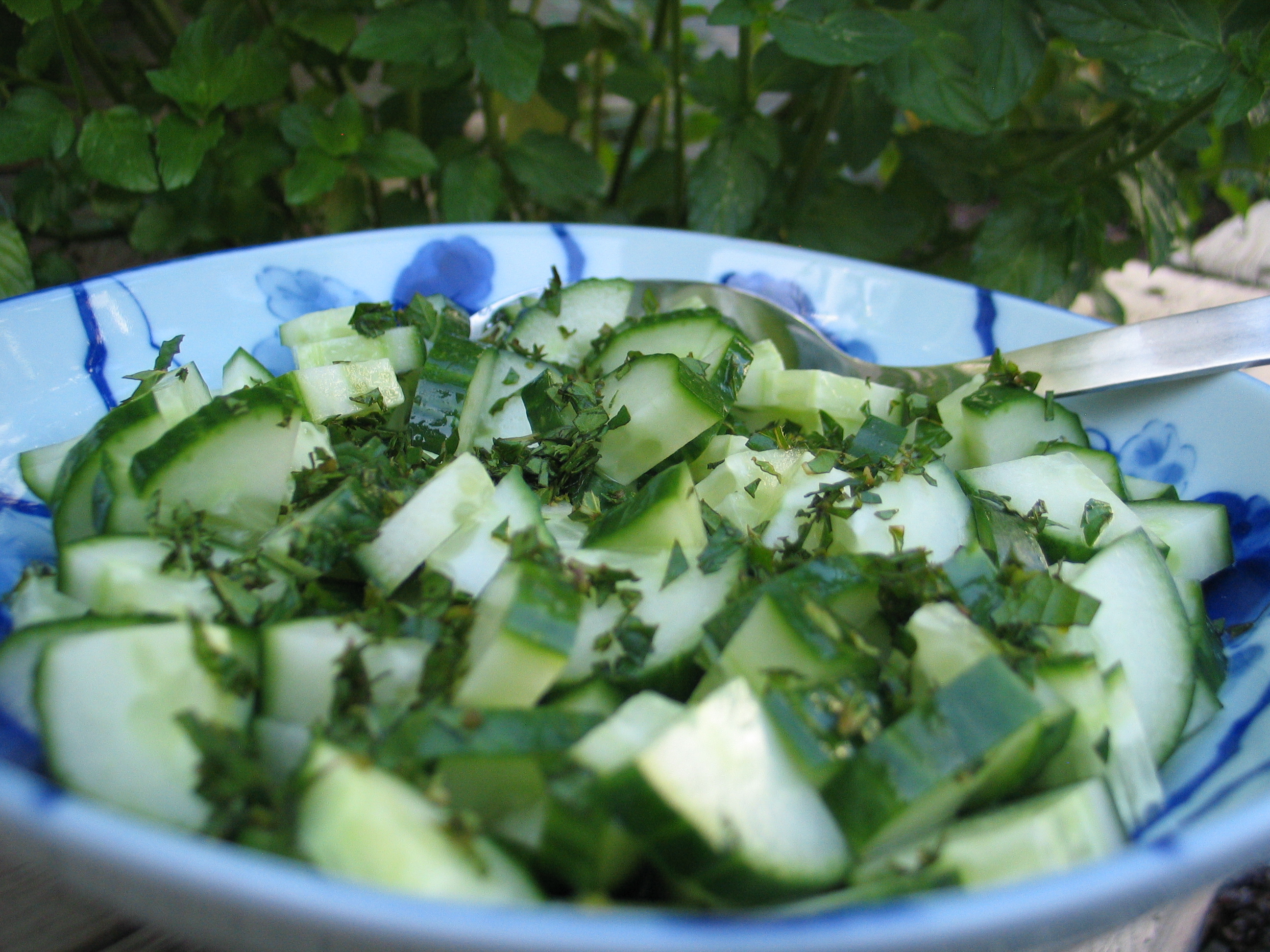 Cucumber Salad ‘Too’