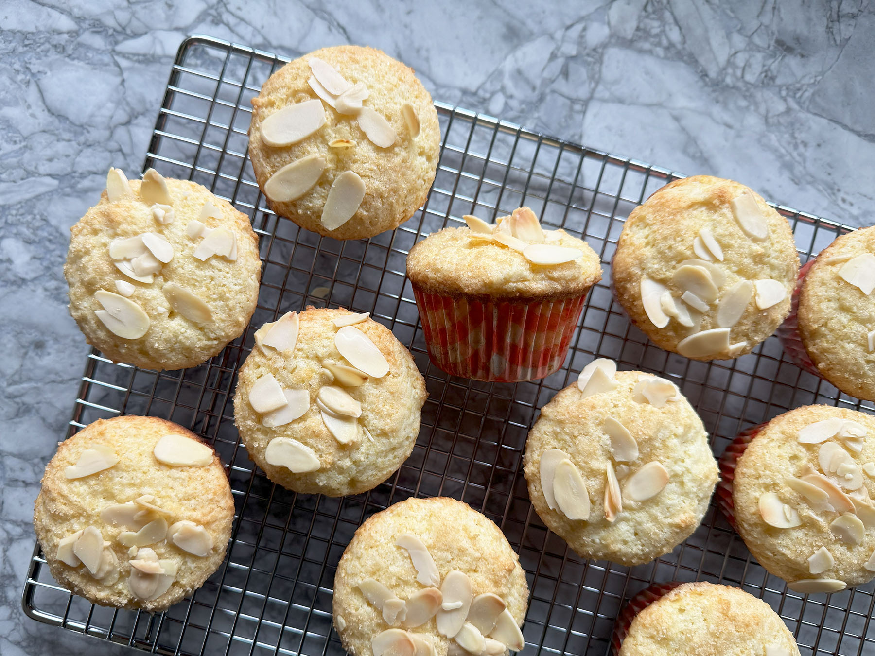 Lemon Ricotta Muffins
