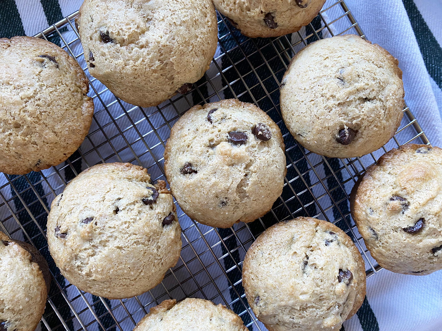 Chocolate Chip Muffins