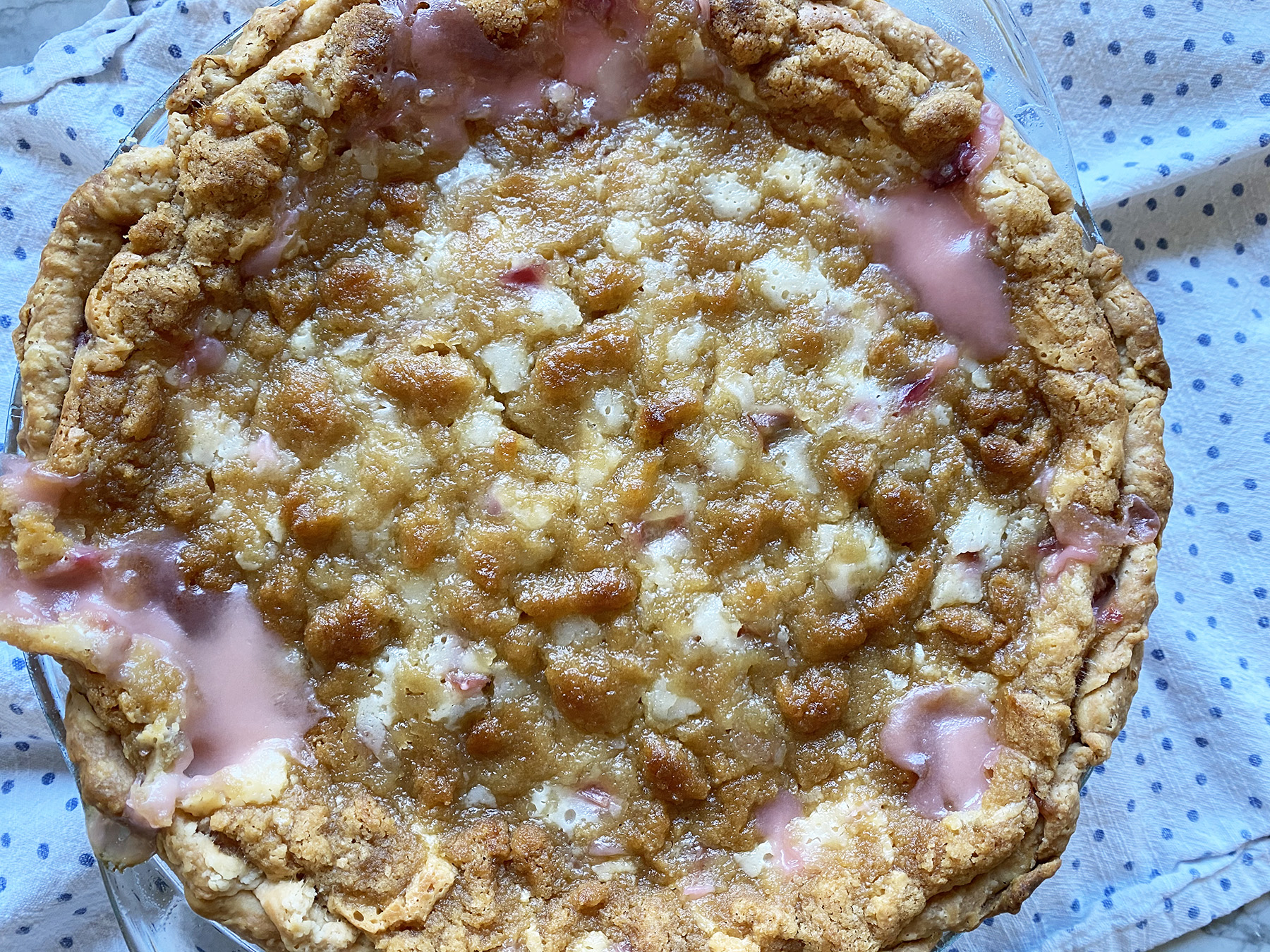 Rhubarb Sour Cream Pie