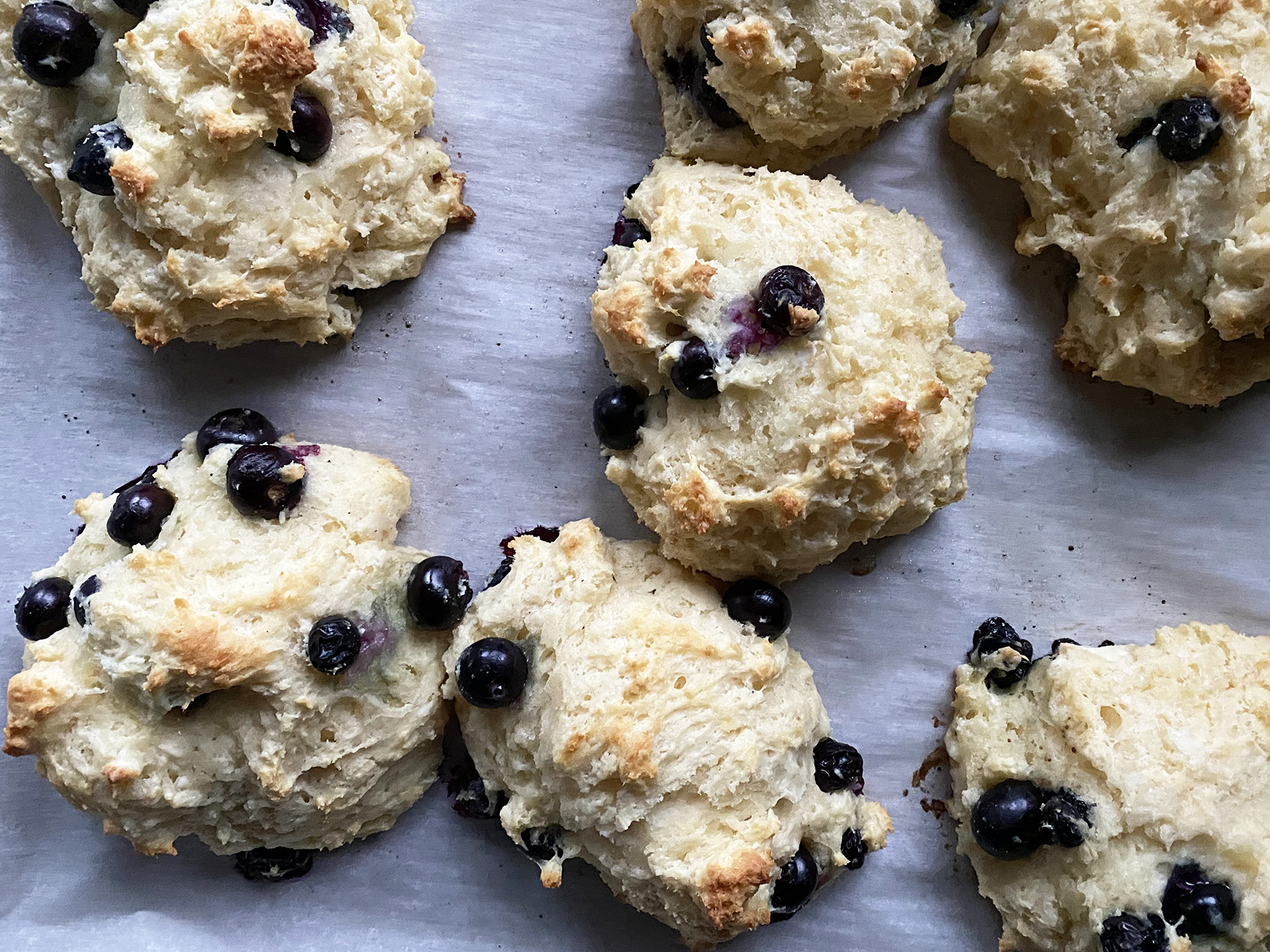 Blueberry Cream Cheese Biscuits