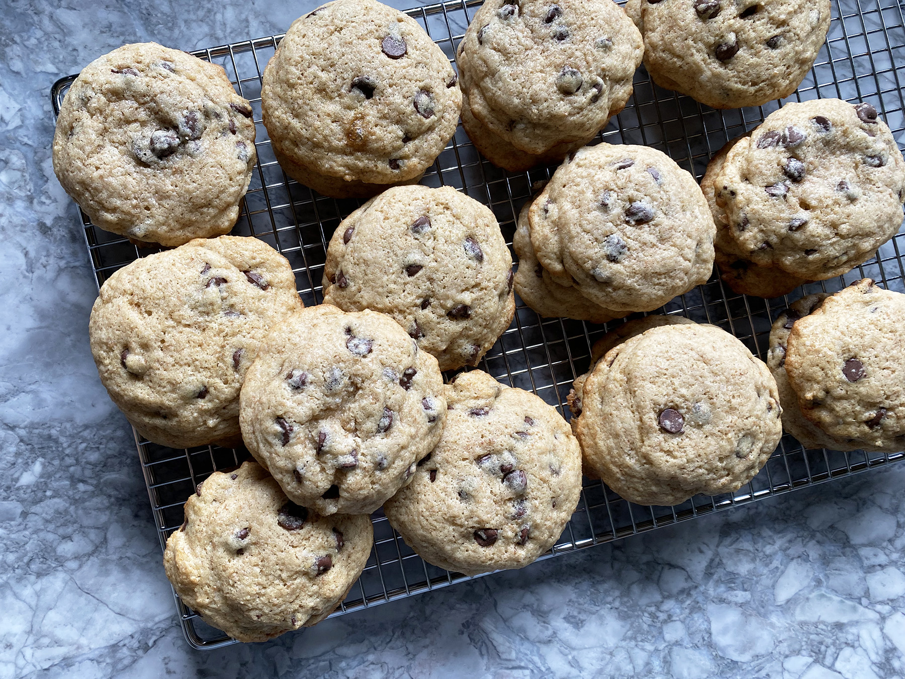 Sourdough Chocolate Chip Cookies