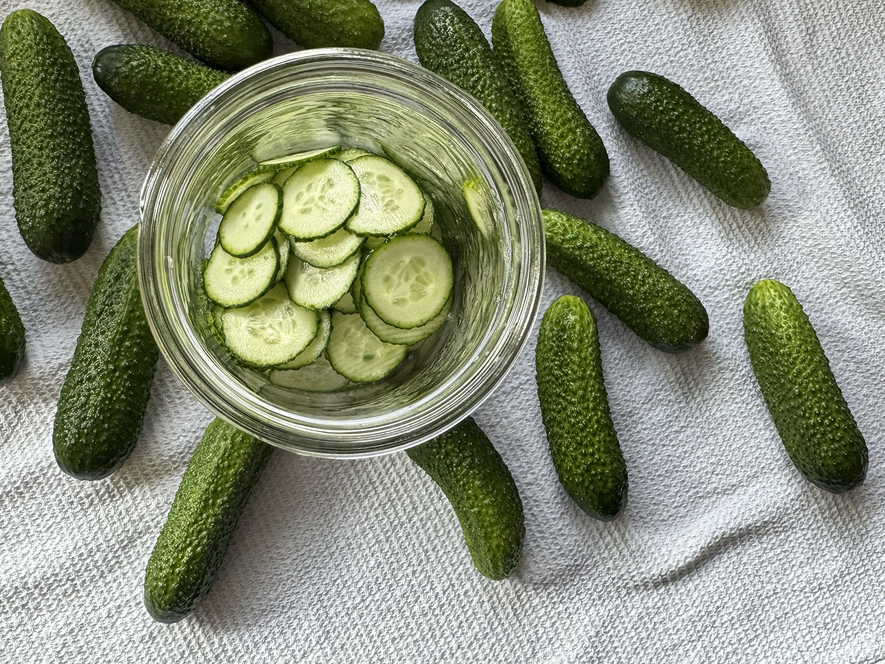 Easy Fridge Dill Pickles