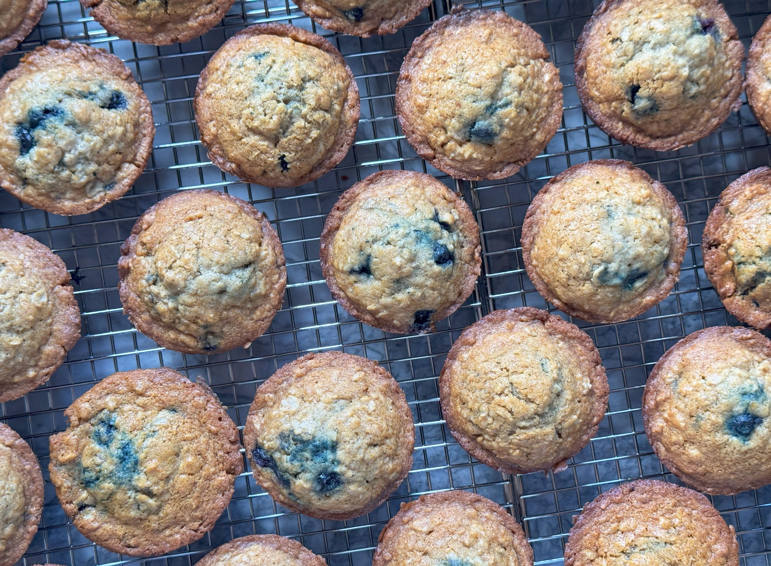 Blueberry Oatmeal Muffins
